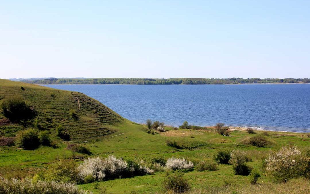 Ejby Ådal i Lejre med den smukke natur