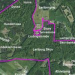 Genopretning af naturlig hydrologi