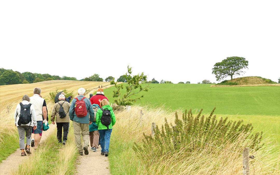 I juni og juli kan man lære Lejreområdet at kende på historiske sommervandreture. Lejreområdets naturskønne landskab er sprængfyldt med fascinerende historier - og nogle af dem kan man høre, når Lejre Museum i samarbejde med Lejre Museumsforening, Lejre Historiske forening og lokale lodsejere inviterer på gratis historiske vandreture i lejreområdet. 