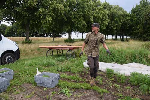 Økologisk Landbrug
I foråret kunne man iagttage, at alle vandløb voksede ud over deres Rækker af økologiskegrøntsager har længe vokset op til Ledreborg Alle på markerne umiddelbart efter Blæsenborg.