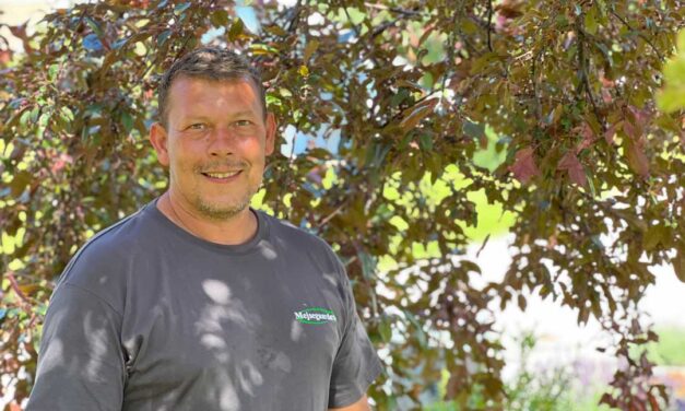 Hus- og haveservice-sæsonen er for alvor i gang