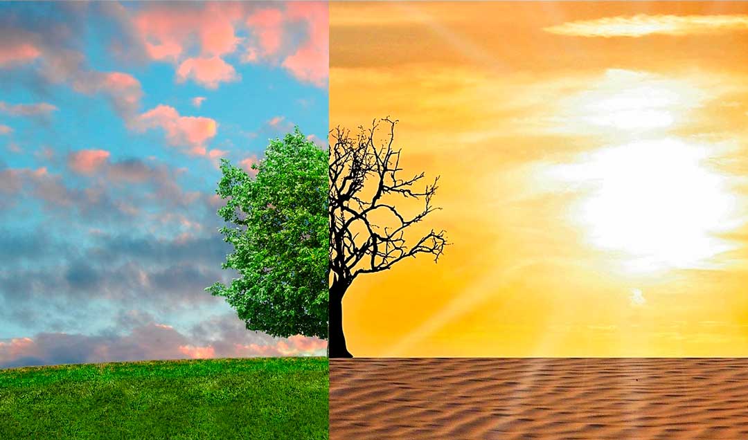 "Vi skal inspirere hinanden og mødes i fællesskaber. For klimaudfordringerne kræver ikke kun kloge løsninger, men også en fælles indsats. Vores Klimauge kommer godt rundt om det hele – og godt rundt i hele kommunen. Jeg glæder mig til at se det endelige program og gå på opdagelse i alt det, vi kan sammen", siger Grethe Saabye, formand for udvalget for Erhverv, Klima & Lokal udvikling i Lejre Kommune