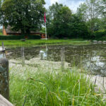 Puljepenge fra Landsbypuljen