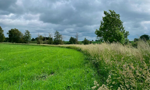 Lejre Landsbyer: Naturskøn Trampesti fra Lejre til Øm