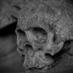 Skelettet i Kongehallen