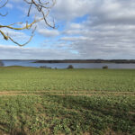En fjord uden affald