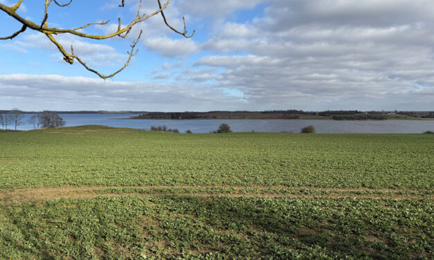 En fjord uden affald