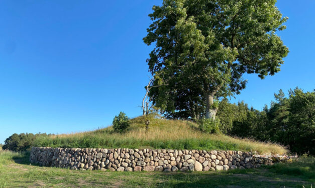 Slumrende firben og arkæologiske dilemmaer