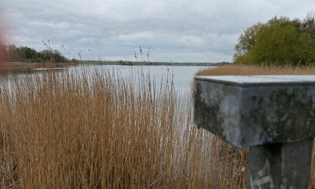 Projekt Kornerup Ådal og Langvad Ådal