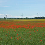 Kampen for klimaet i Lejre Kommune