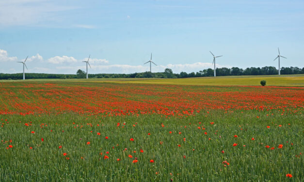 Kampen for klimaet i Lejre Kommune