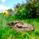 Naturvandring i Lerbjerg Skov