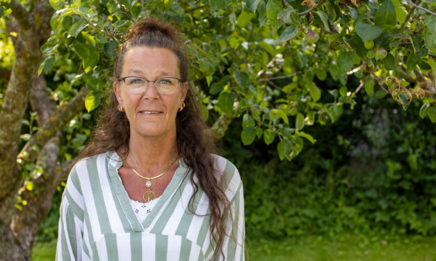 Demonerne er væk, og Anne er gået fra bruger til ansat