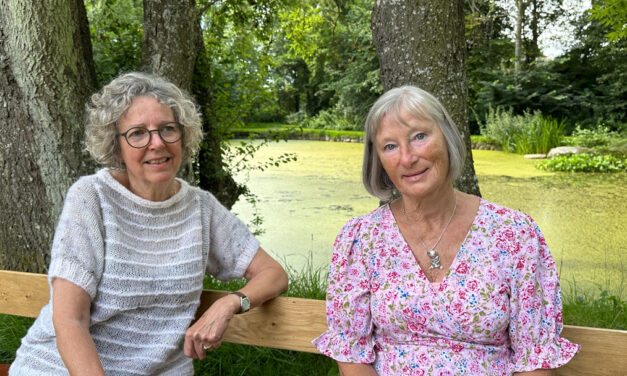 Oldermænd, byjord og Hoveridag – frivillige i Bylaugene bygger nutidens byer på fortidens rødder