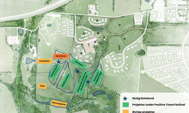 Lejre Landsbyer: Grønne fingre på festival