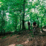 Nu skal arbejdet med seks store naturområder i gang