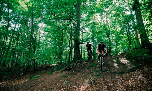 Nu skal arbejdet med seks store naturområder i gang