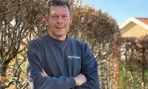 Det er jo ikke noget, der er kommet af sig selv